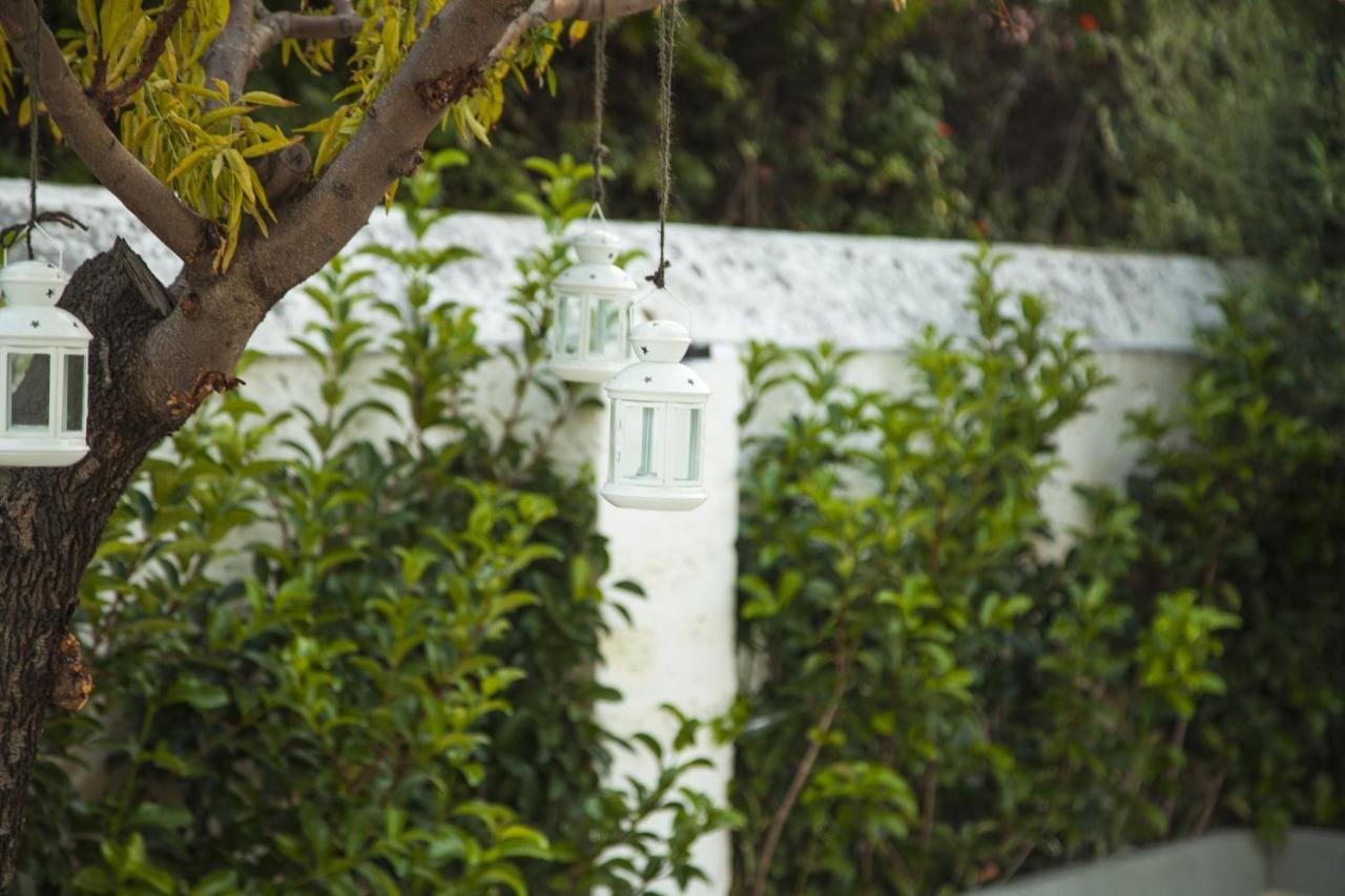 Villa Adelaide Suite & Room Torre A Mare Dış mekan fotoğraf
